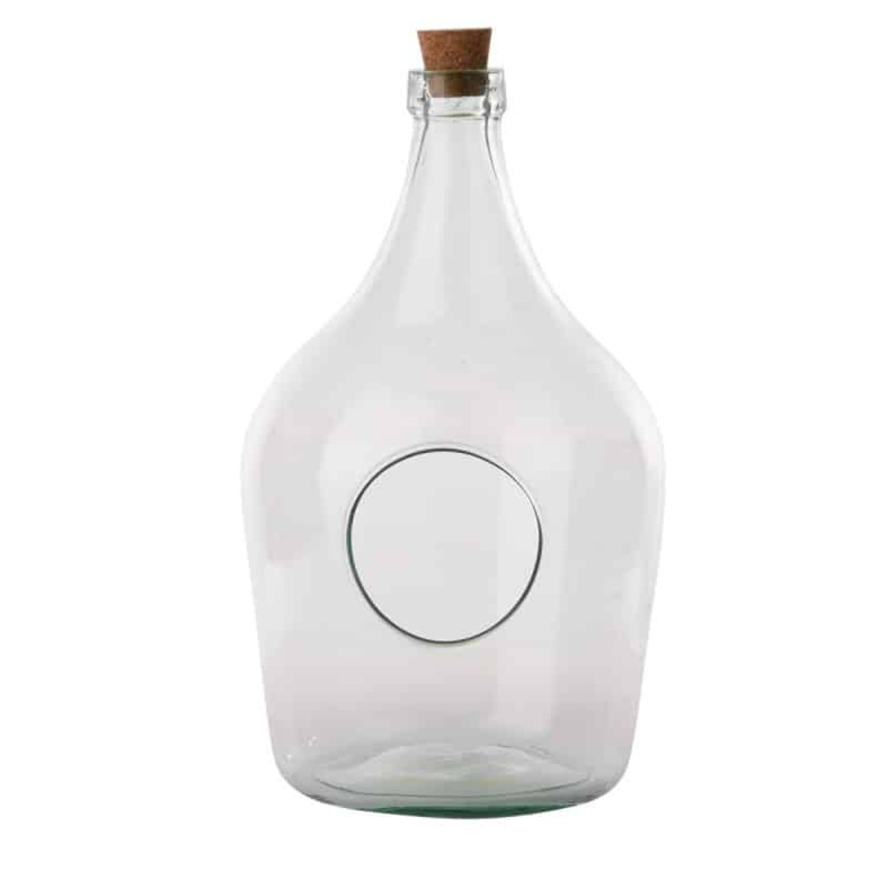 Bouteille terrarium 5 litres