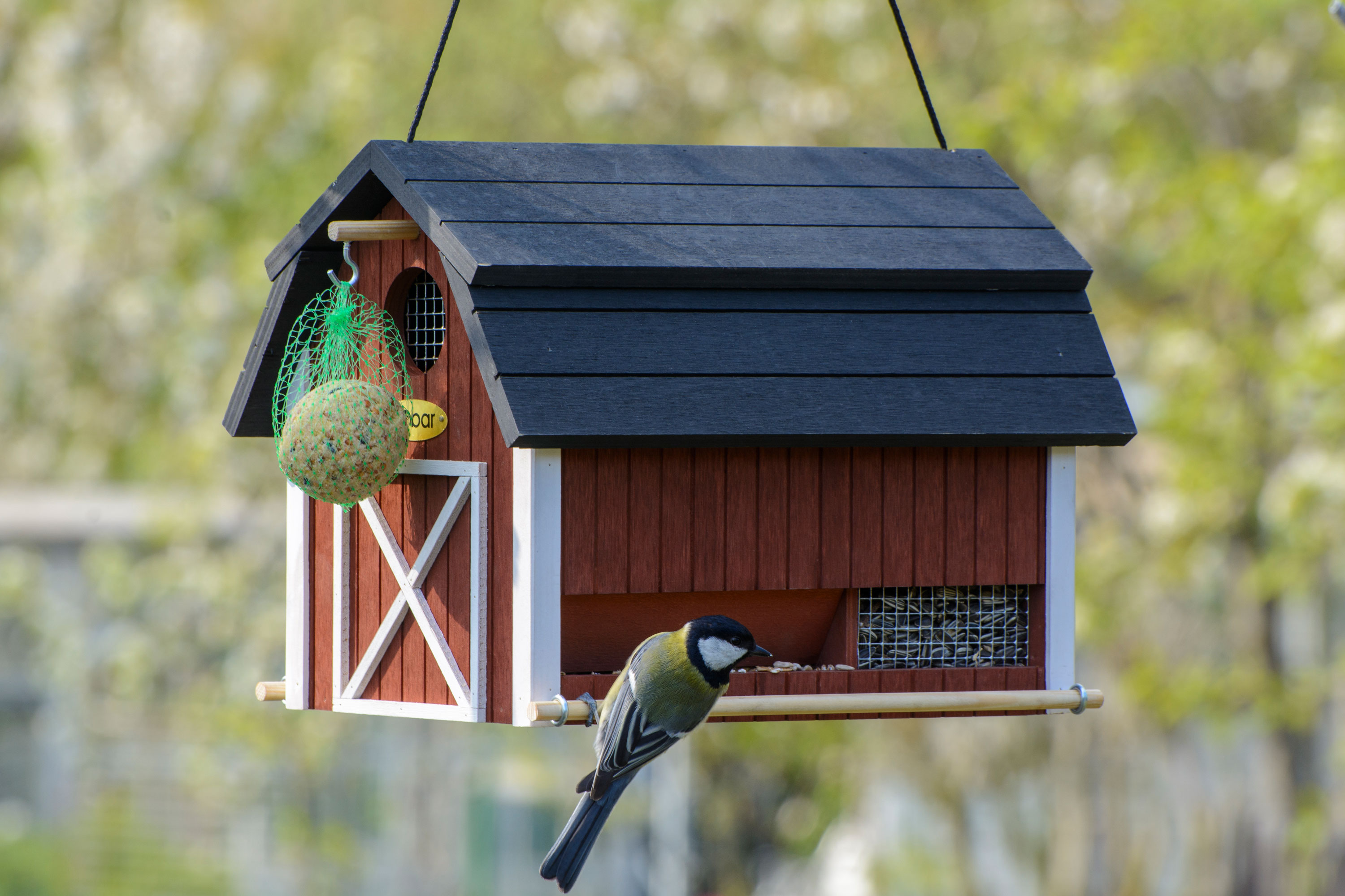 dobar Vogelhaus 