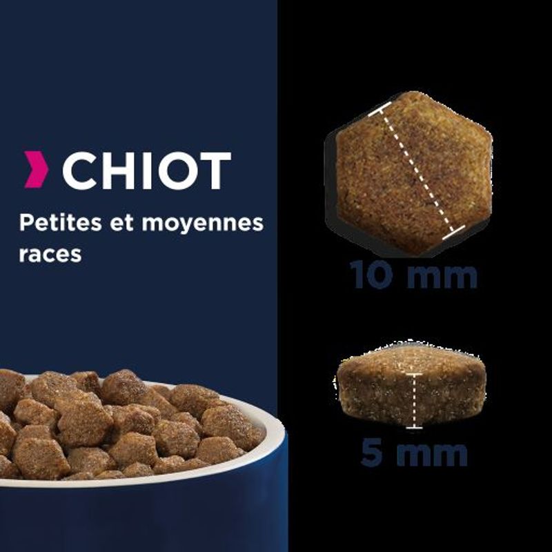 Eukanuba Grain Free Puppy Small / Medium Breed avec du saumon