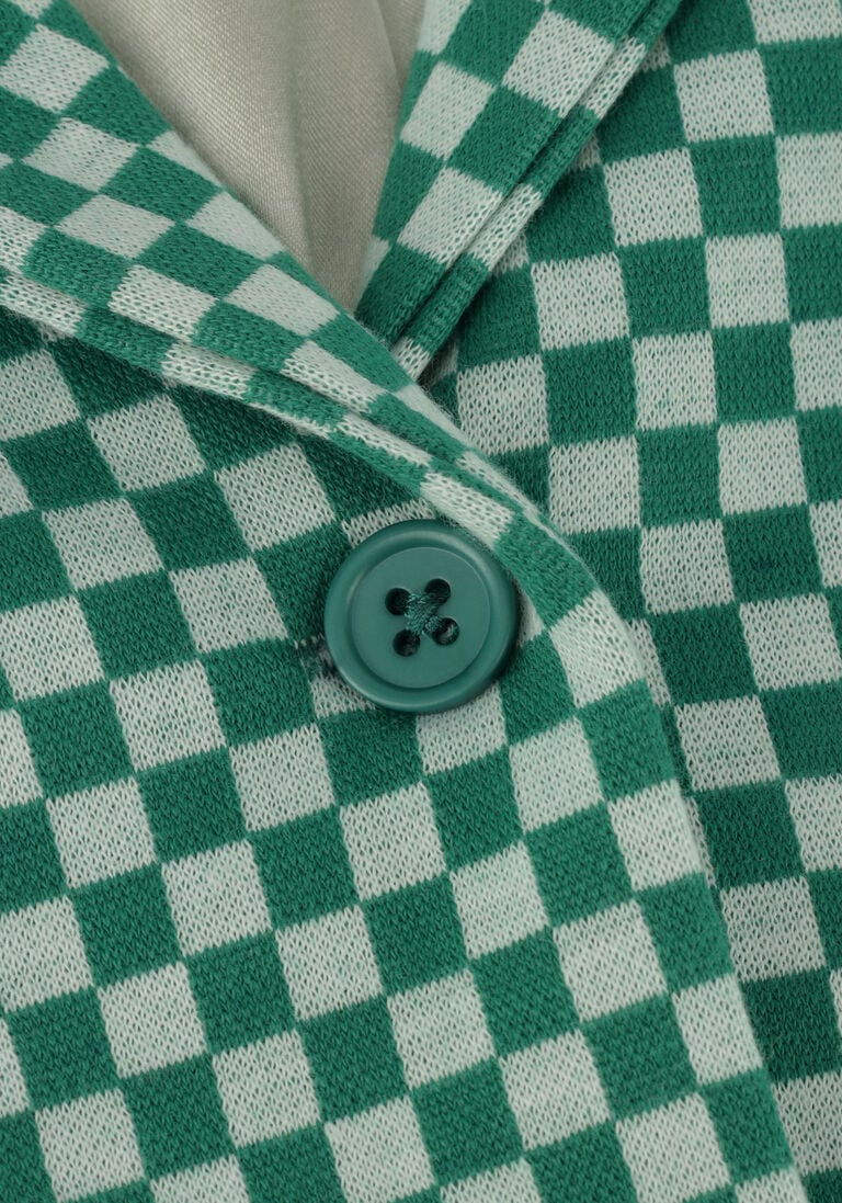 MOODSTREET groene moodstreet blazer blazer in check jacquard knit check