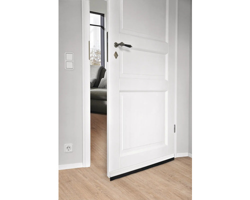 fix-o-moll deurrubber met kwast, standaard zelfklevend, transparant, 1 m