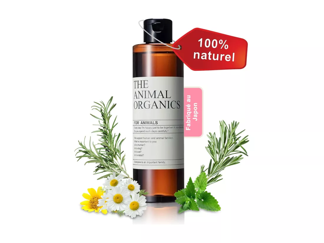 Shampoing chien 250ml,Extrait naturel,Shampoing chien anti odeur Peau sensible,Shampoing Sans additifs,Shampoing Hydratant (Copy)