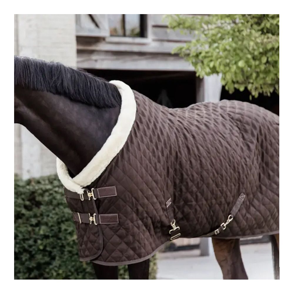 Kentucky 52101 160G - Couverture de présentation brown