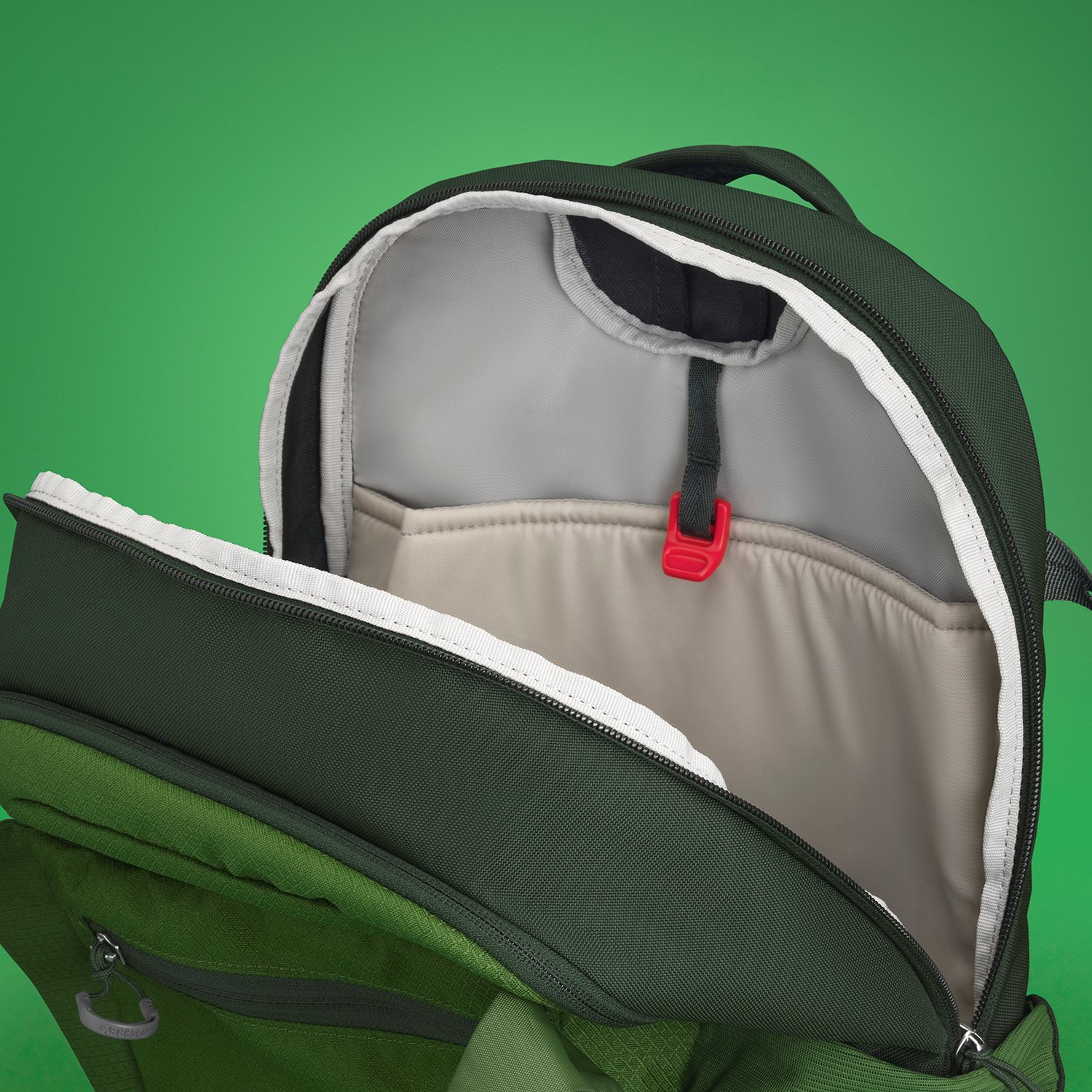 Osprey Daylite Plus green belt/green canopy