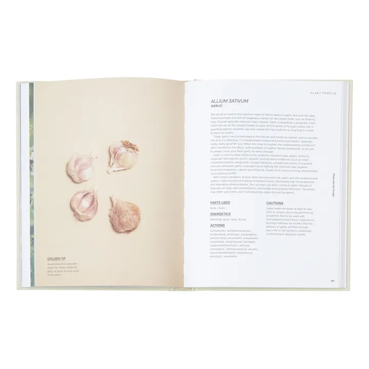 Thames & Hudson Plants for the People A Modern Guide to Plant Medicine - EN