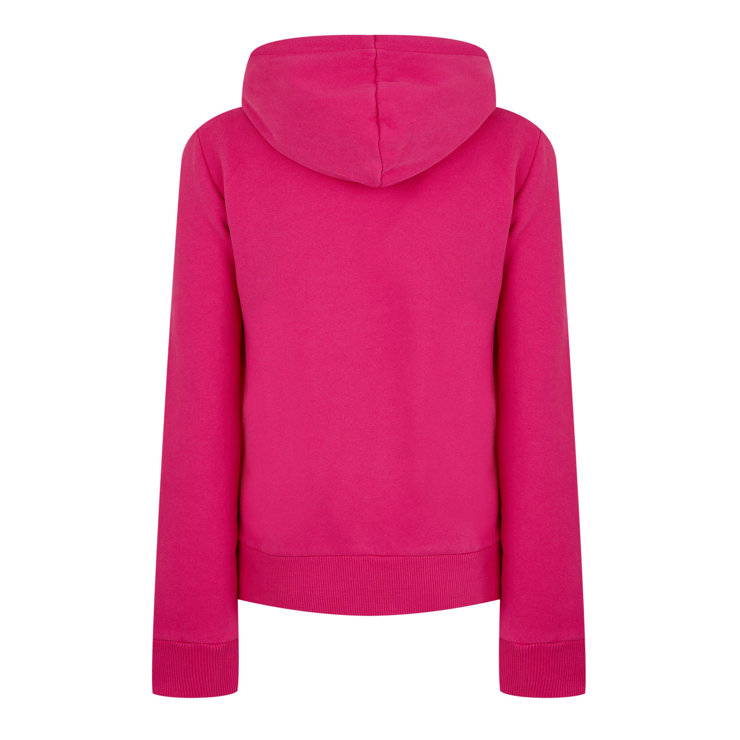 Superdry Logo Hoodie