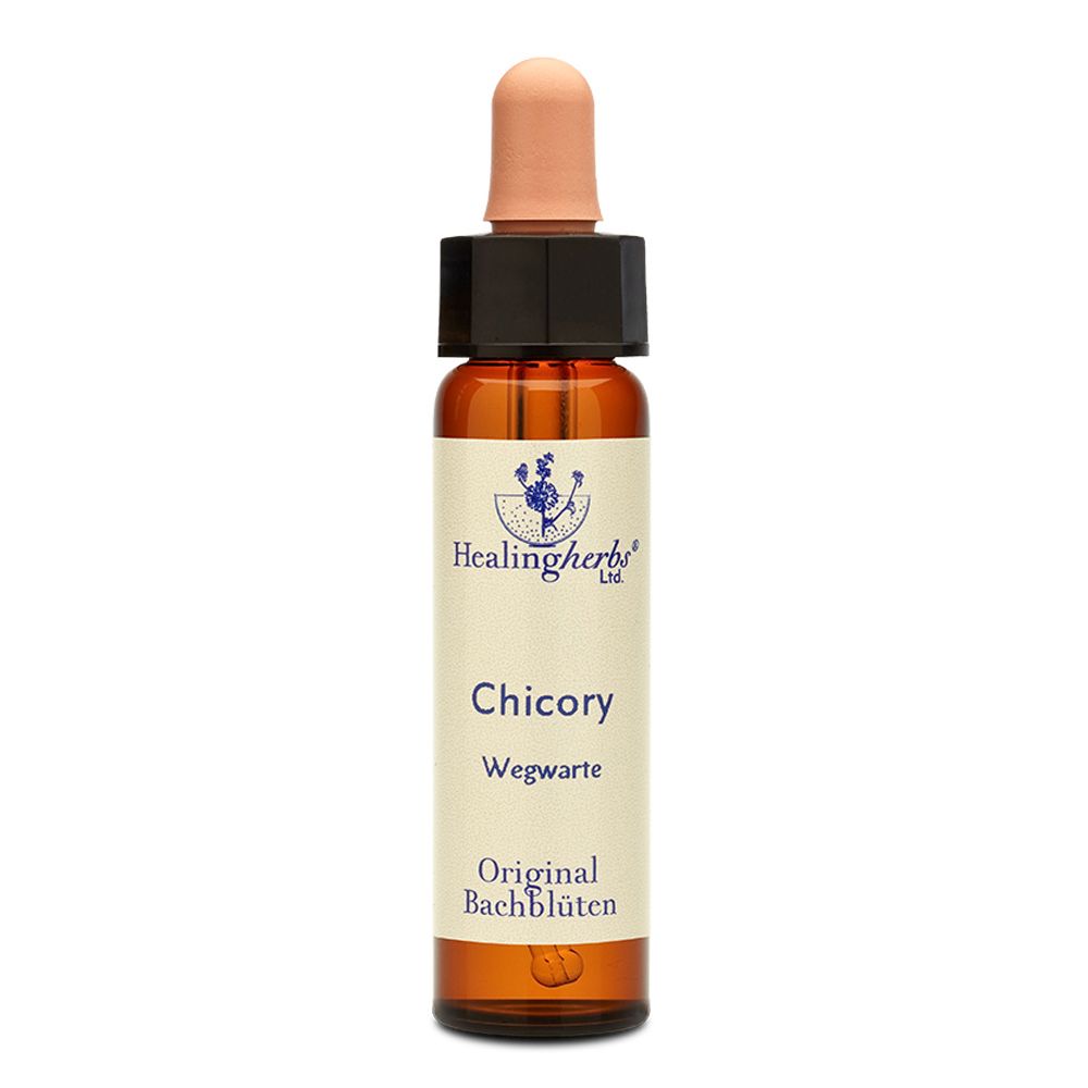 Healing Herbs Chicory Original Bachblüten Tropfen