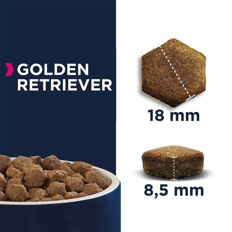 Eukanuba Adult Breed Specific Golden Retriever à prix discount sur bitiba.fr