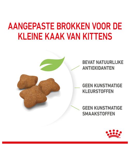Royal Canin Kitten Sterilised - Kitten-Kattenvoer