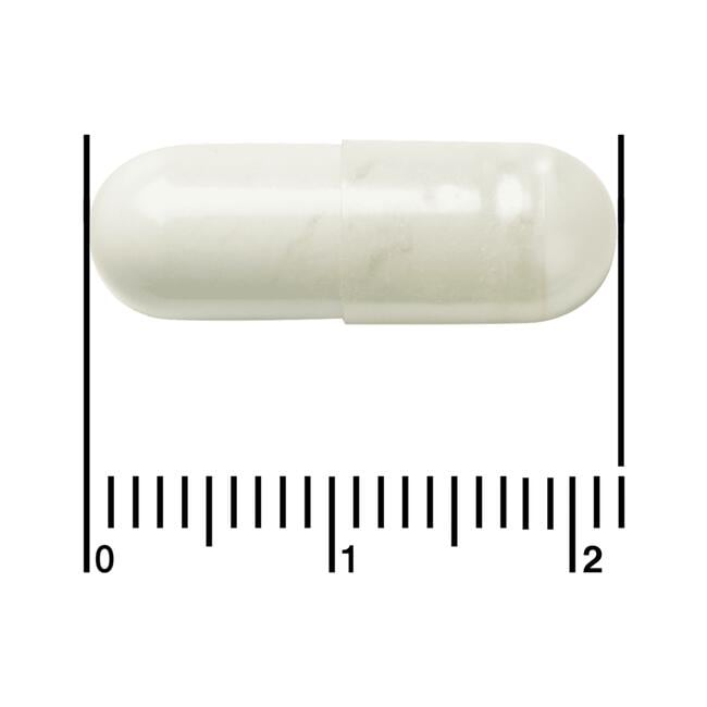 Etos Premium Probioticum Complex Plus 60 stuks