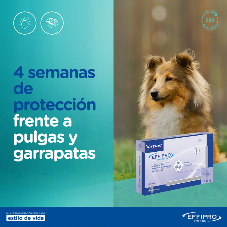 Pipetas antiparasitárias Virbac Effipro para cães de 20 a 40 kg