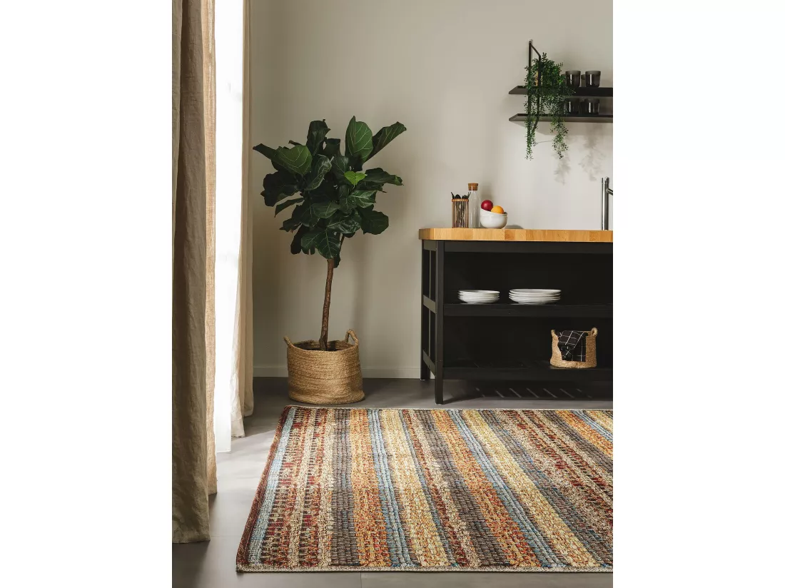 Tapis d'extérieur & intérieur Kenya Multicouleur 80x165 cm