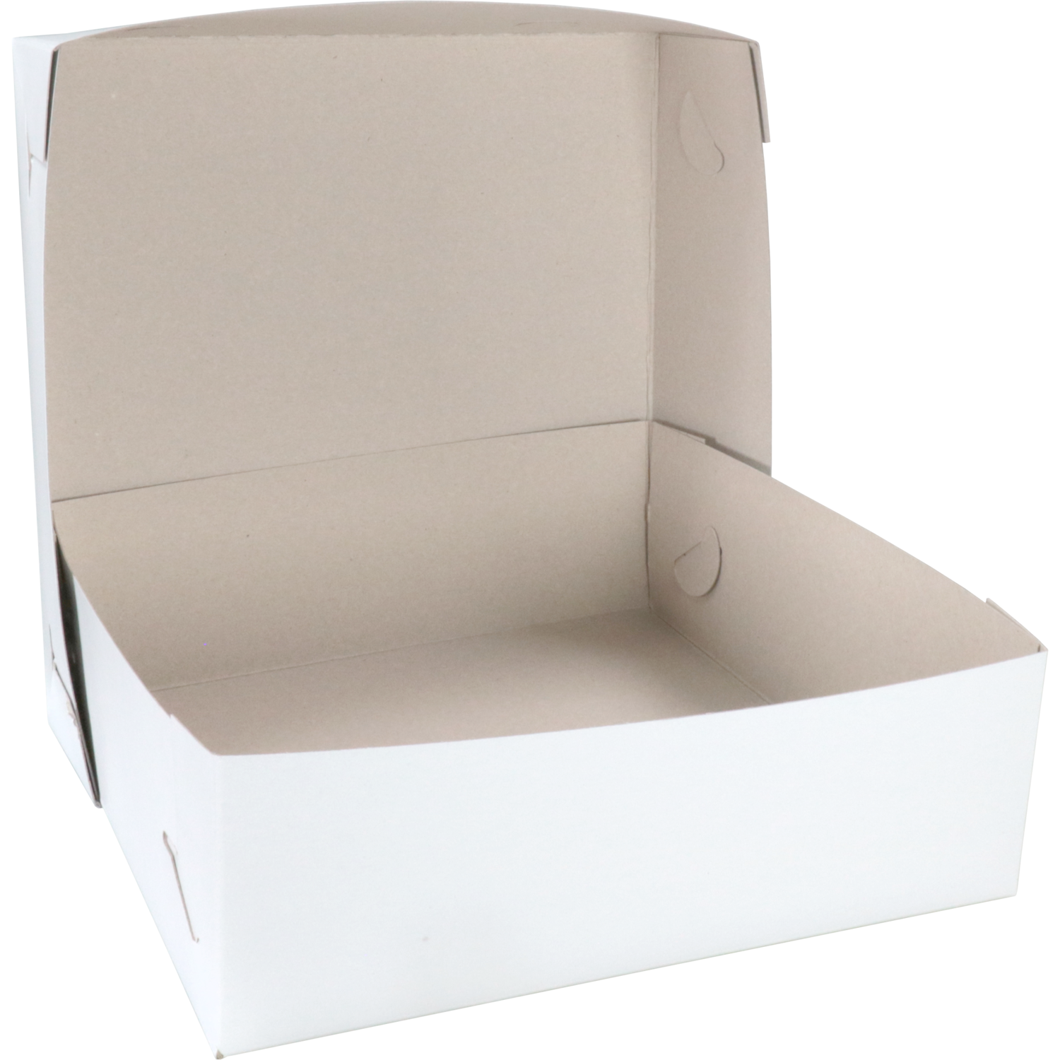 Zwanenhals/ verzenddoos, karton, 28x28x9cm, duplex, wit