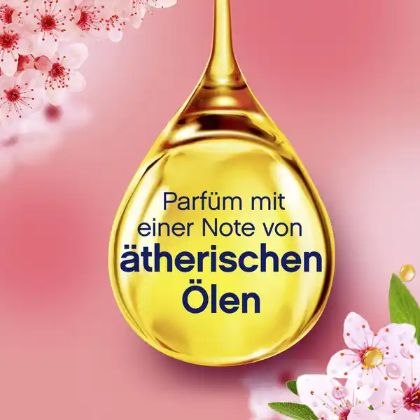 Kirschblüte & Edelsalbei Weichspüler  56 WL
