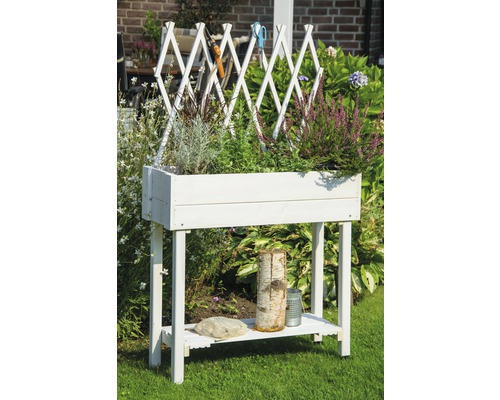 Verhoogd tuinbed op palen met trellis, mobiel, 79 x 28,5 x 130 cm, wit geglazuurd