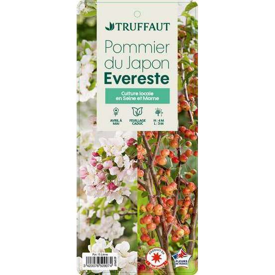 Malus Evereste Perpetu Truffaut : C15L