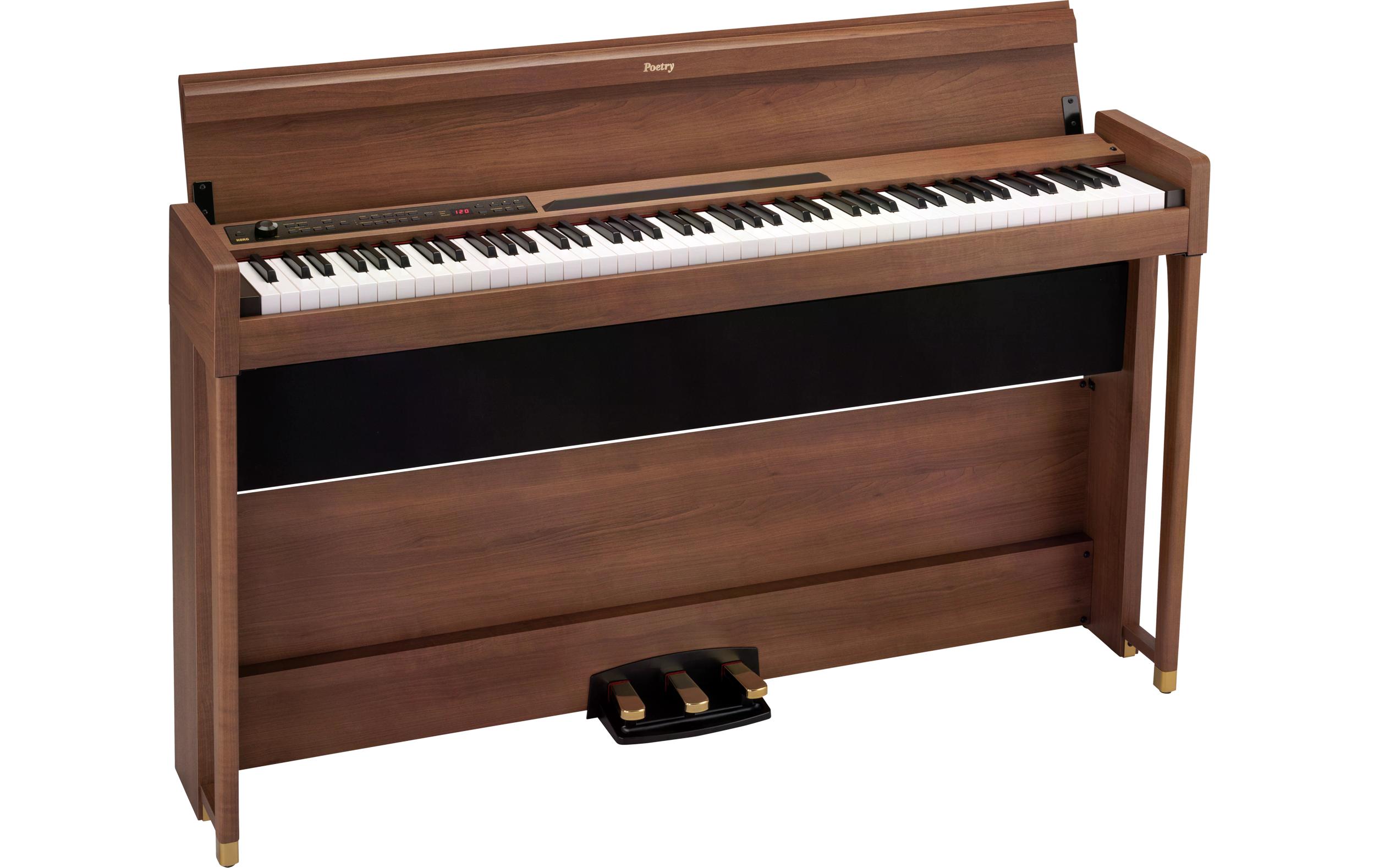 E-Piano Poetry<br>Das Piano für Chopin-Liebhaber