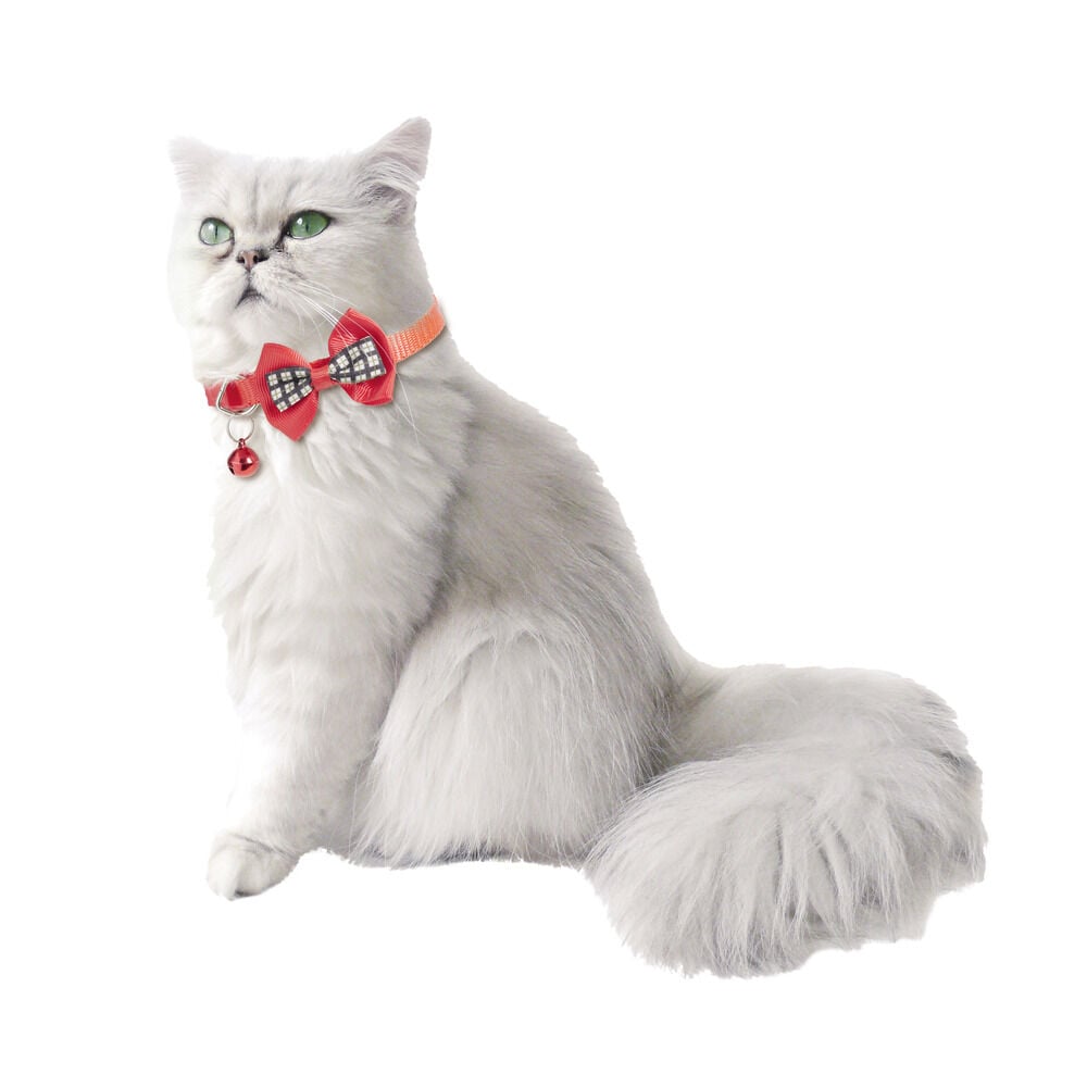 Collier pour chat ajustable clochette et noeud papillon rouge ou bleu