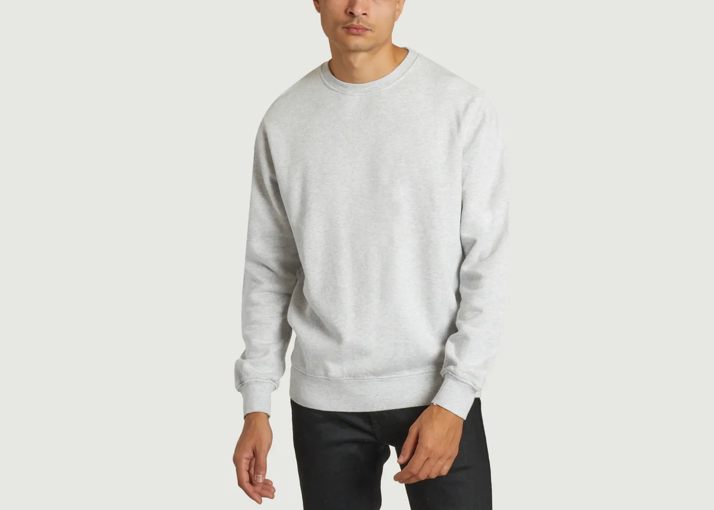 Pull classique Colorful Standard