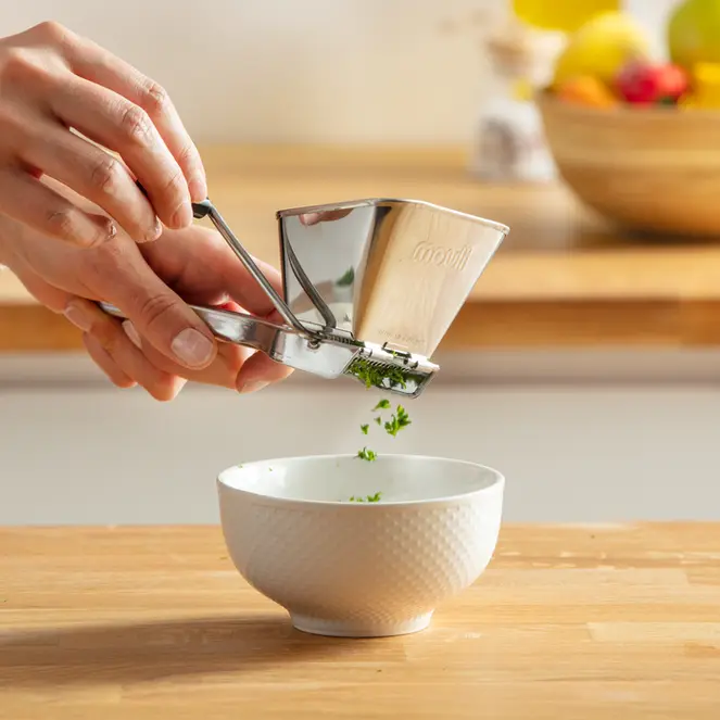 Moulin à herbes aromatiques en inox de Moulinex