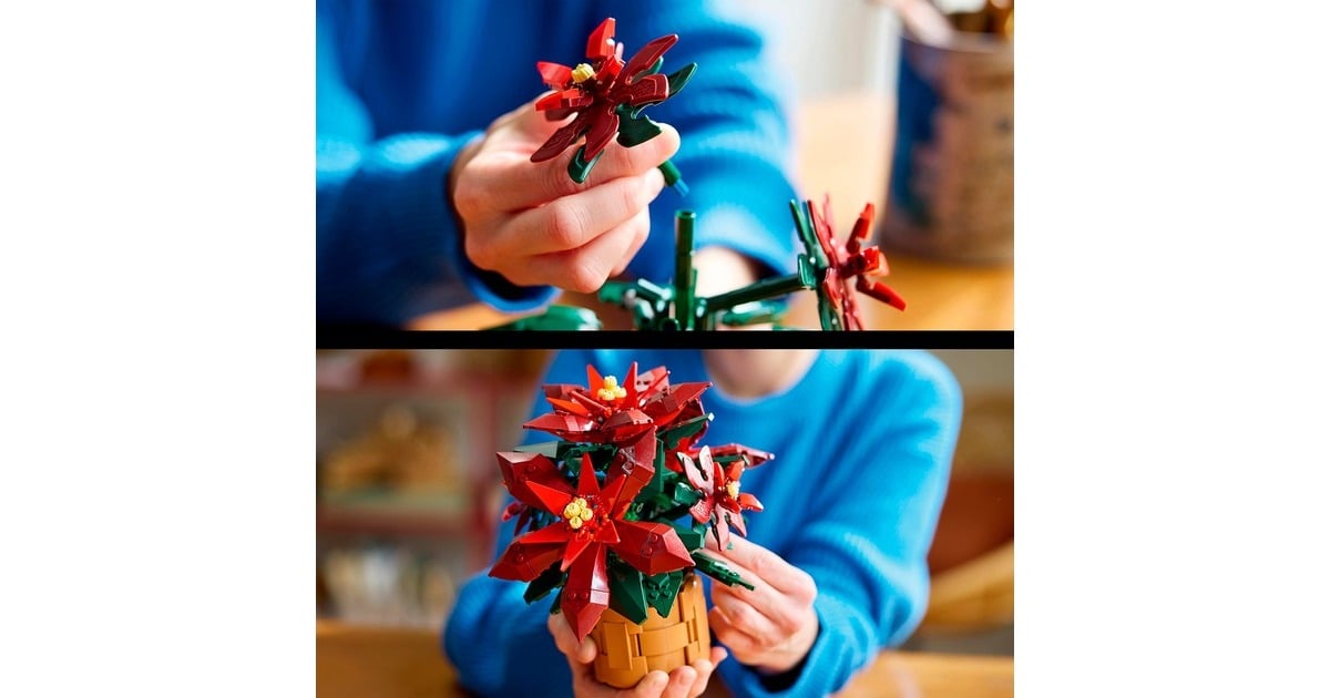 LEGOIcons - Kerstster Constructiespeelgoed  (10370)