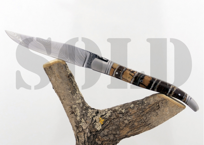 Couteau Laguiole avec un manche en Molaire de Mammouth Fossile