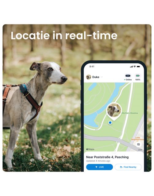 Tractive Gps Dog 4 Hondentracker En Activiteitenmonitor 17x71x28 mm - Hondenlocatievinder