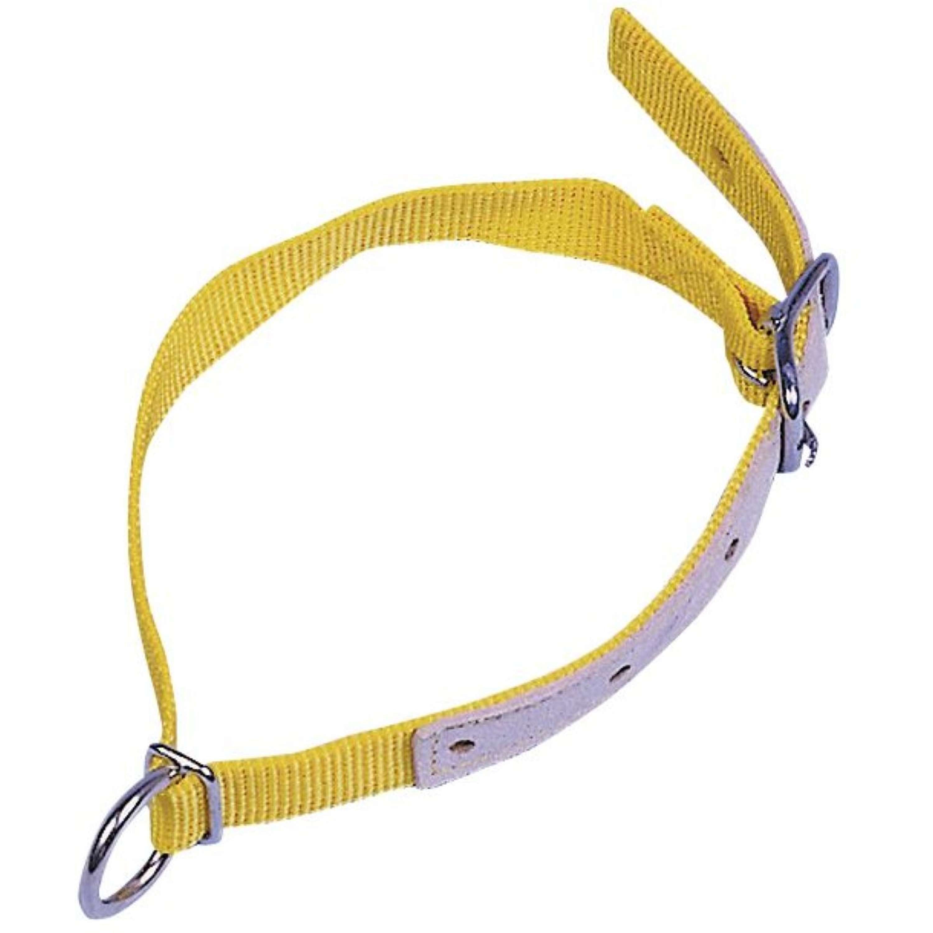 Kerbl Halsband Nylon voor Schaap/geit Geel
