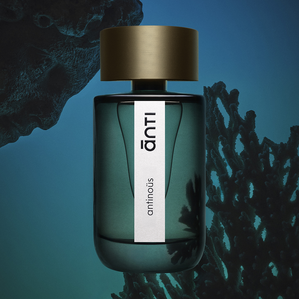Antinous Eau de Parfum 100ml