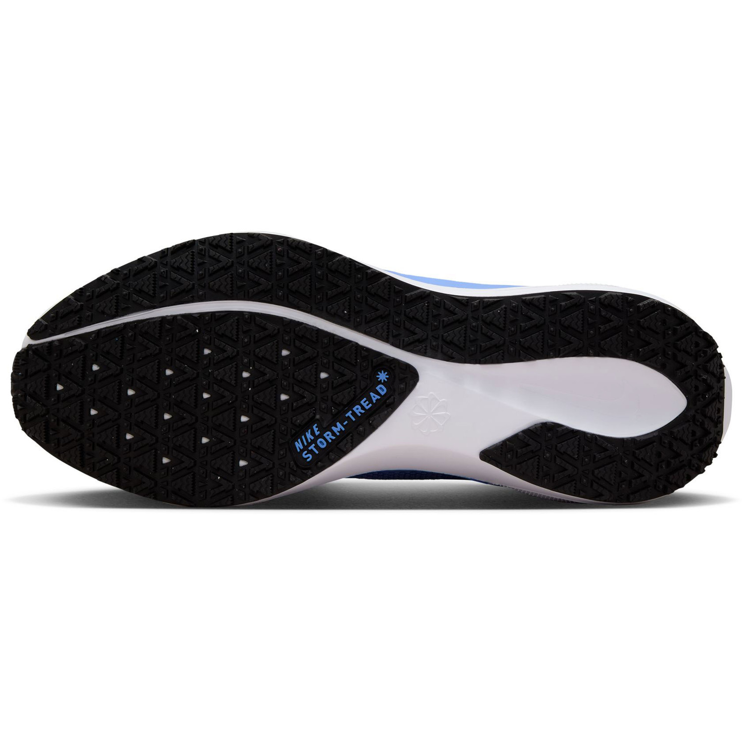 Nike Pegasus 41 GTX Dames
