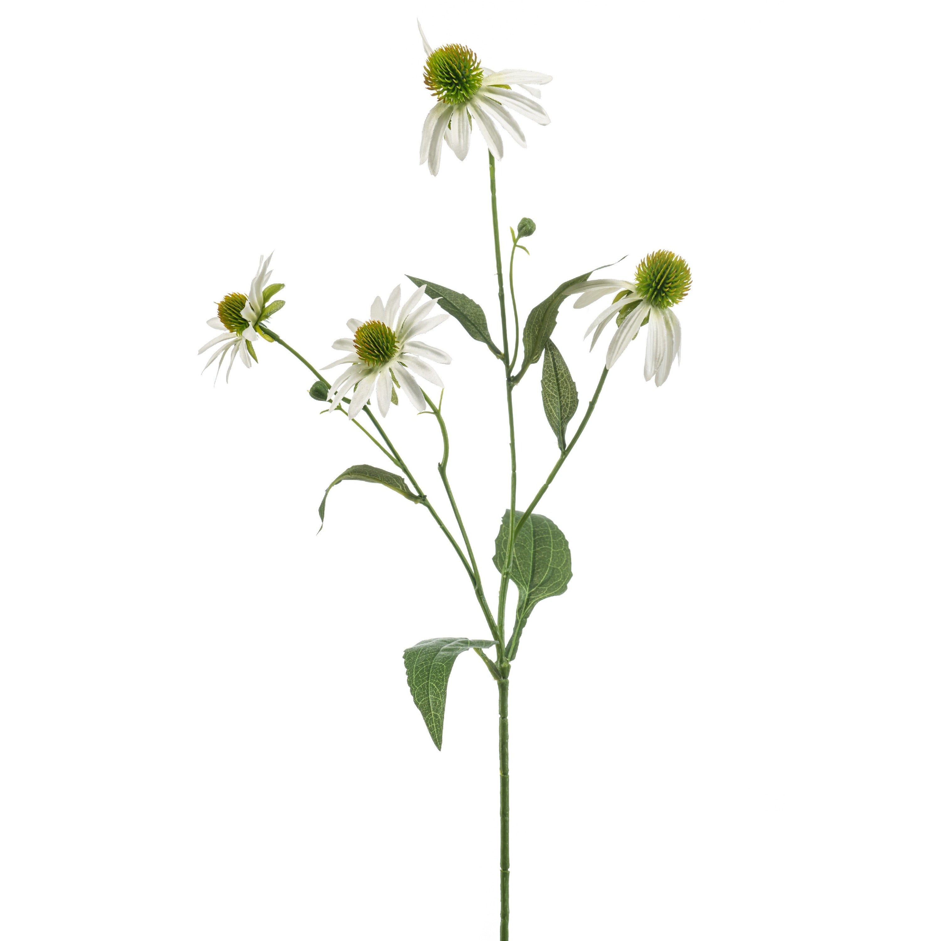 Fleurdirect Kunstbloem Rudbeckia Wit -  - 0x70x0cm (BxHxD)