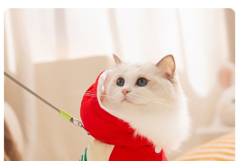 Cissilli - Letterapplicatie Pet Overall met capuchon