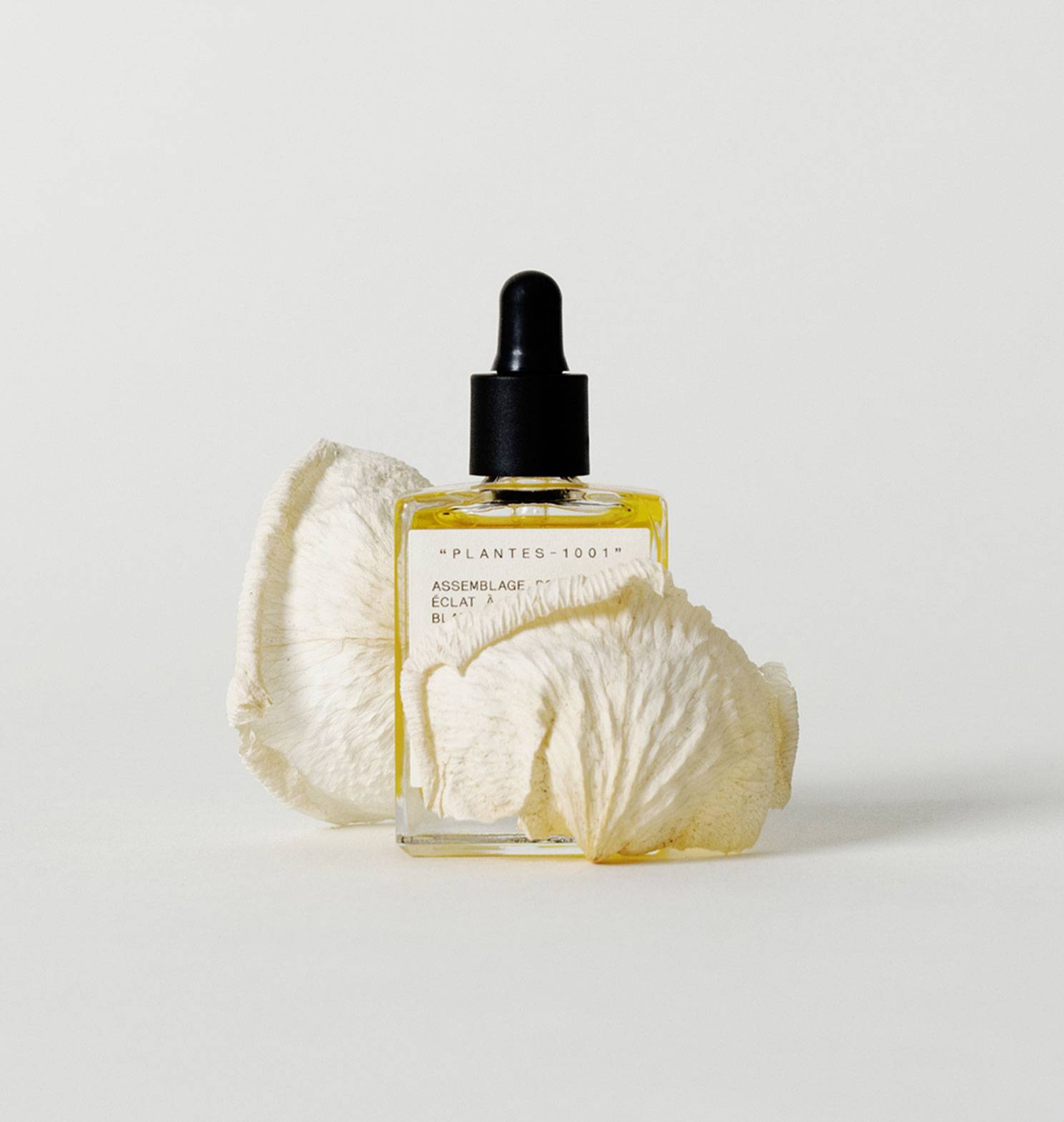 P62 - Assemblage botanique éclat<br>à la rose blanche