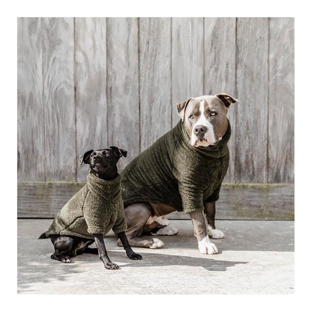 Kentucky TEDDY FLEECE - Pull pour chien vert sapin