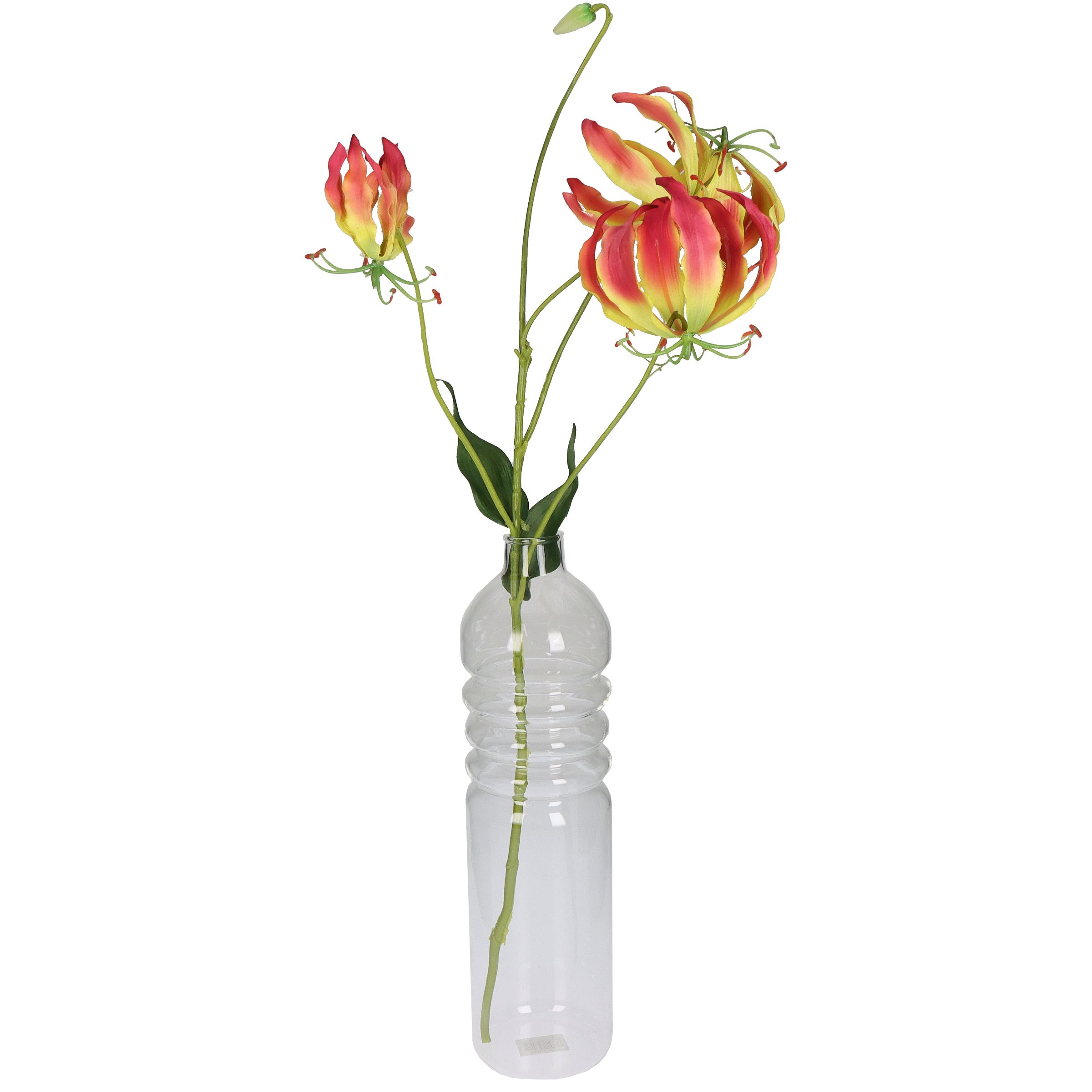 Vase BOTTLE