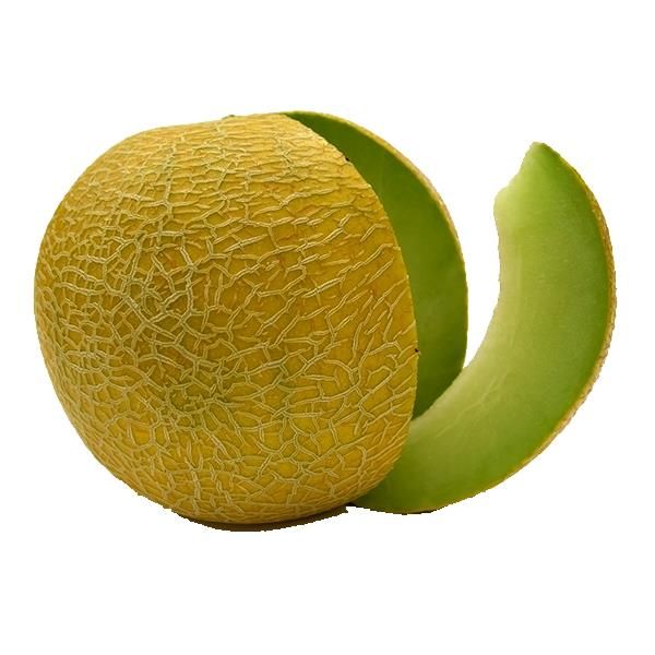 Meloa Biológica