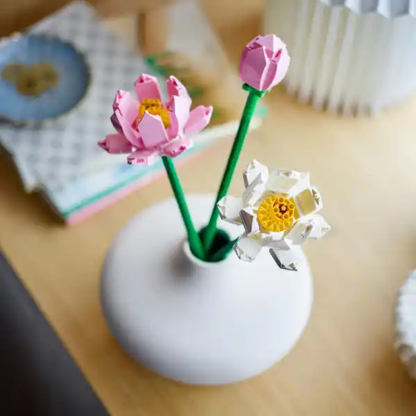 40647 Lotusblumen