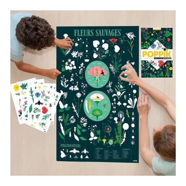 POPPIK Sticker Lernposter Botanik