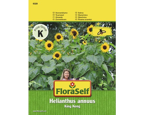 Zonnebloem 'King Kong' FloraZelfbestuivende zadenbloemzaden