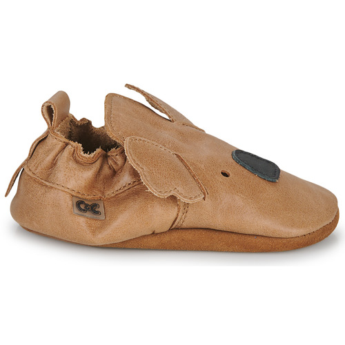 Citrouille et Compagnie - NEW 24 Camel