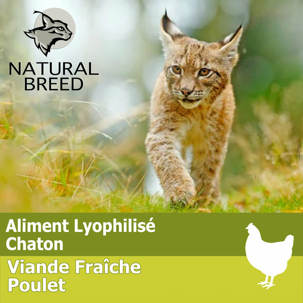 Wild lyophilisé perfect kitten - lyophilisé chaton, poulet frais sans céréales, 750g