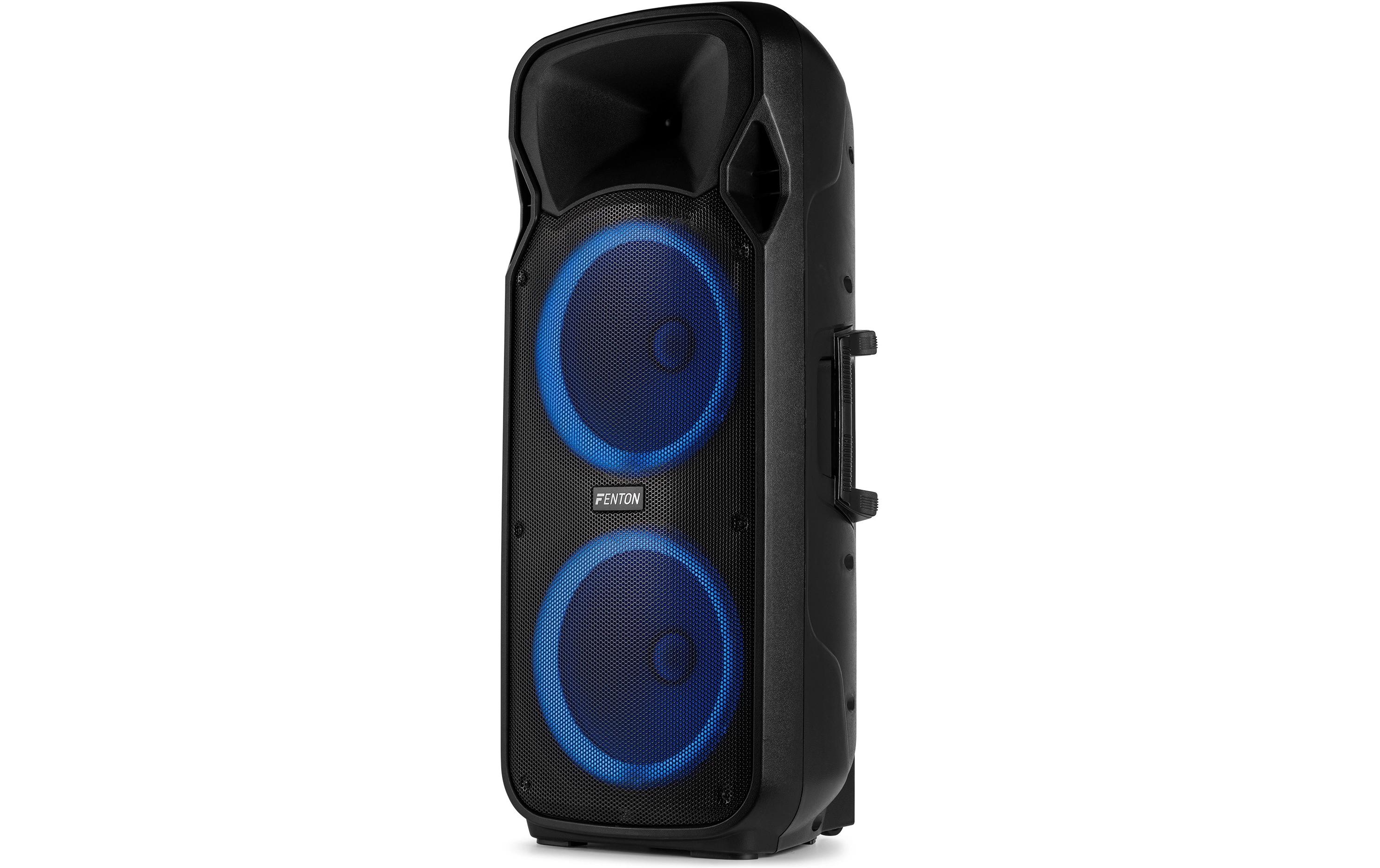 Lautsprecher FT212 lED MK2<br>Tragbarer PA-Lautsprecher mit LED