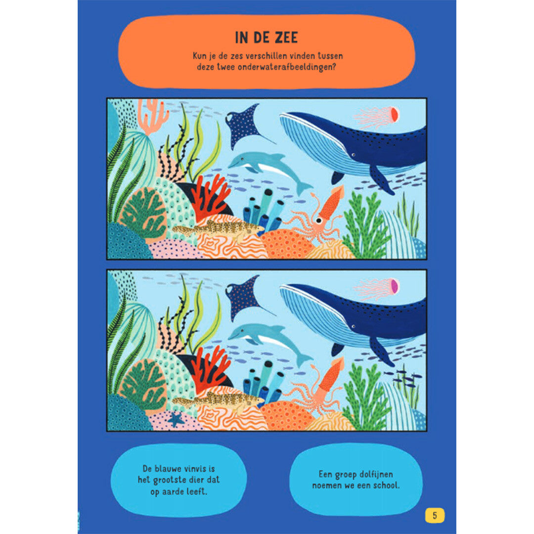 Uitgeverij fontaine het feestelijke feitjes doeboek