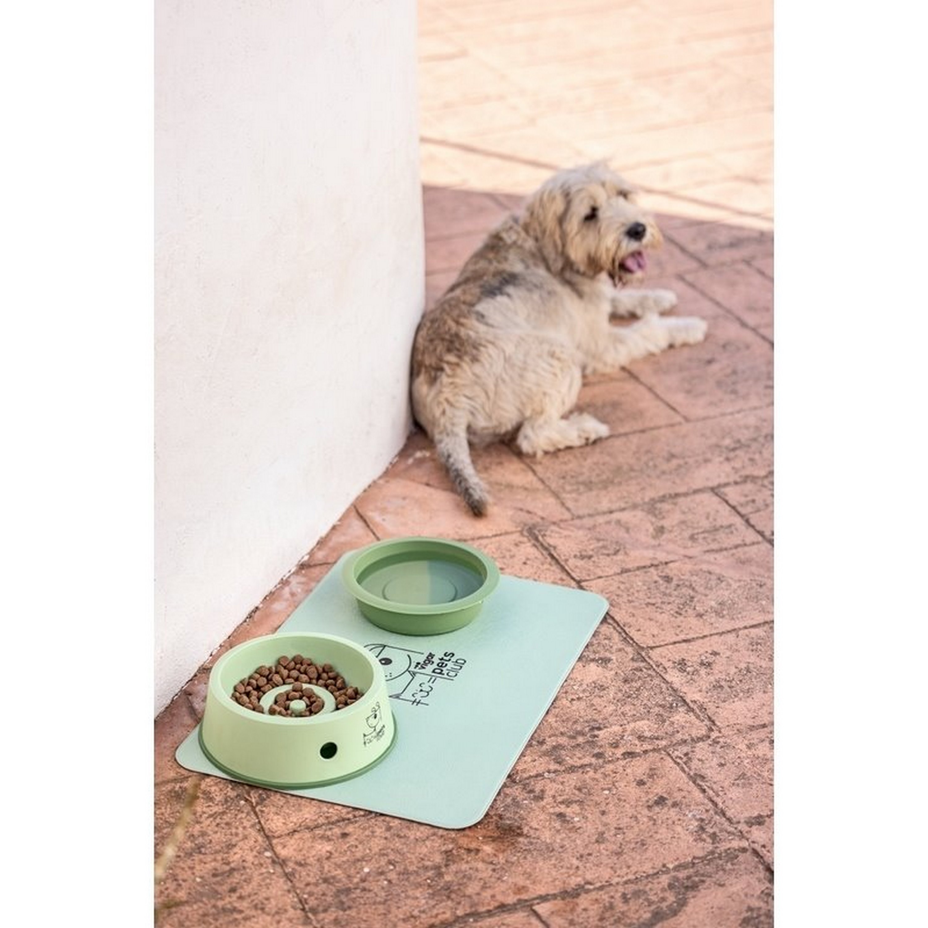 comedouro verde Pets Club