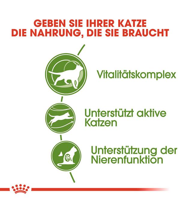 ROYAL CANIN® Trockenfutter für Katzen