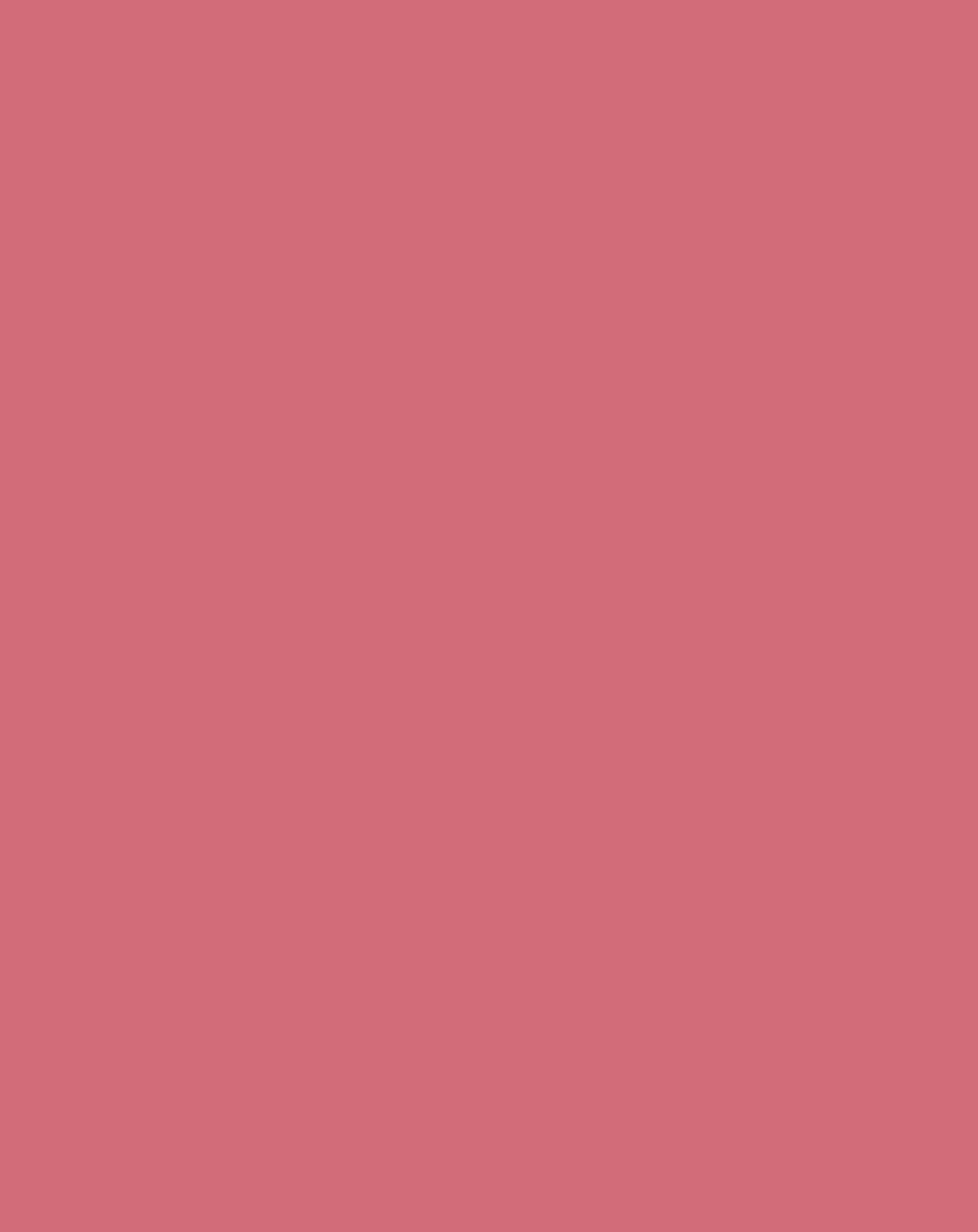 Jeans-Shorts SARGE BASIC in rouge