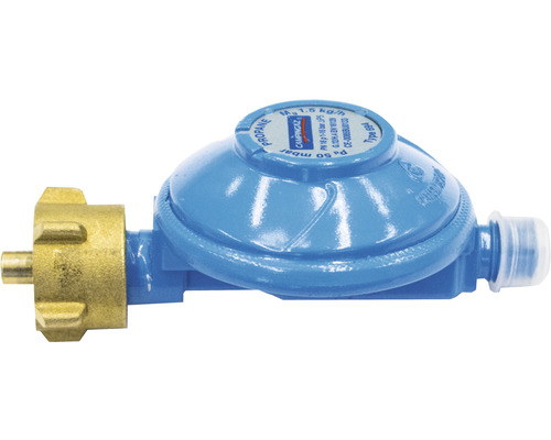Regelaar 50 mbar - 1 uitgang 1,5 kg/u