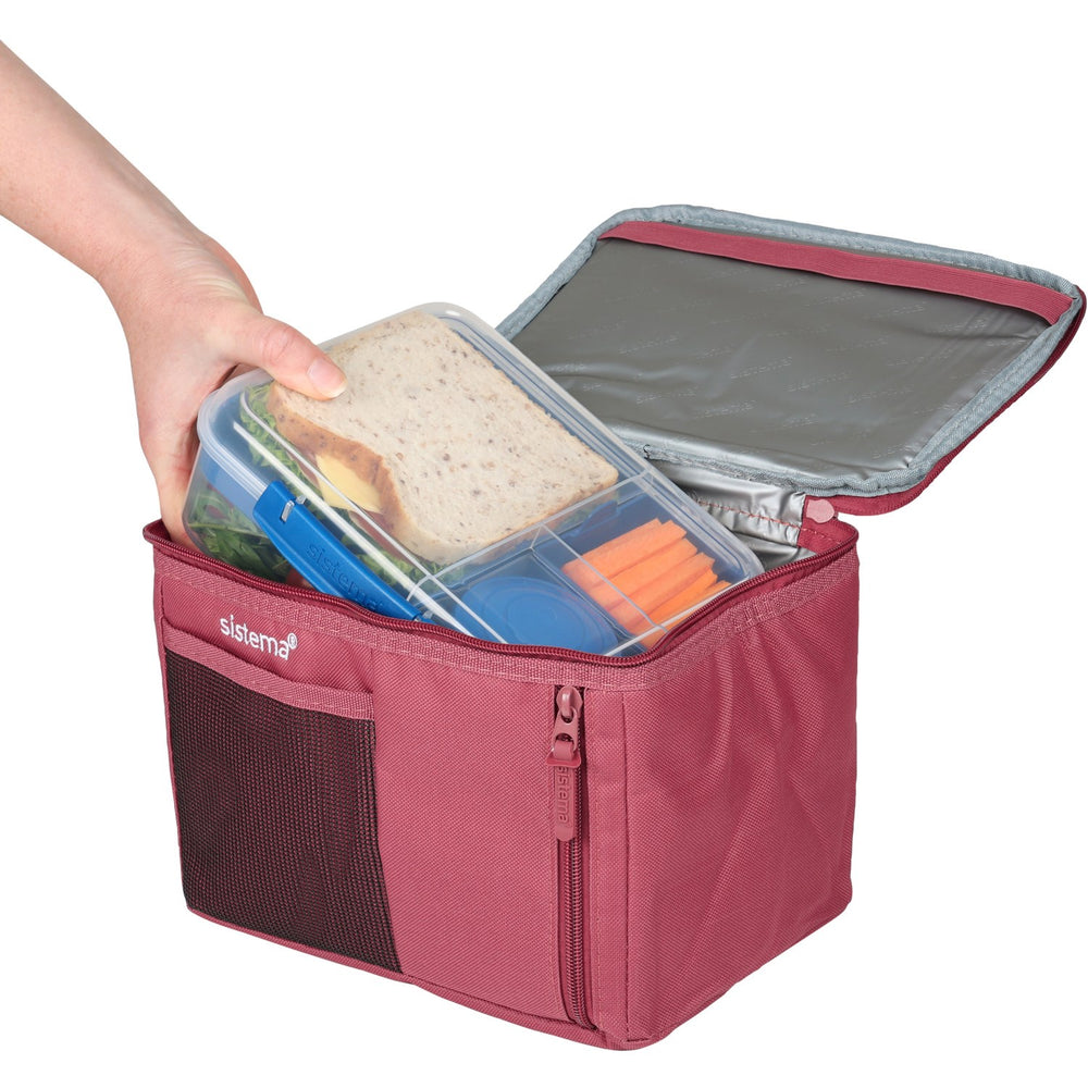 Køb Sistema Astro Dust To Go Mega Fold Up Coolers 5,5 L