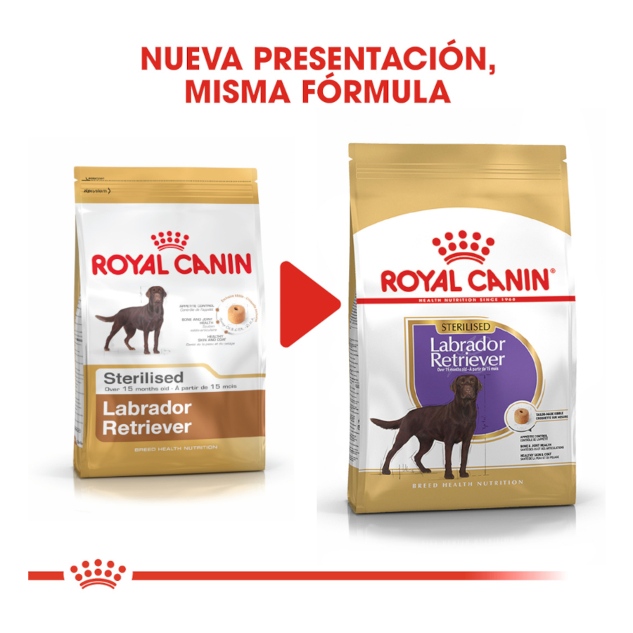 Ração esterilizada Royal Canin para cães adultos da raça Labrador.
