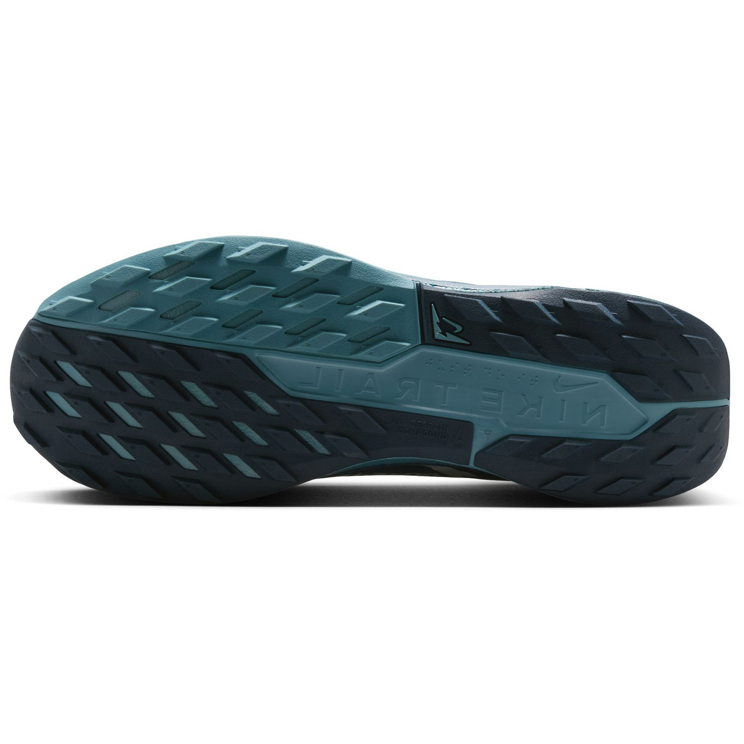 Nike Pegasus Trail 5 GTX Heren